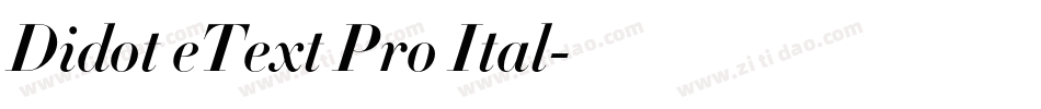 Didot eText Pro Ital字体转换